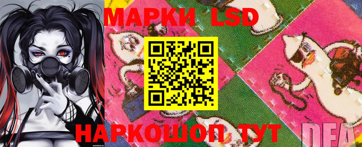 Новотроицк  продажа наркотиков  Марки N-bome  Вход с VPN  Наркотические марки 1,8мг 