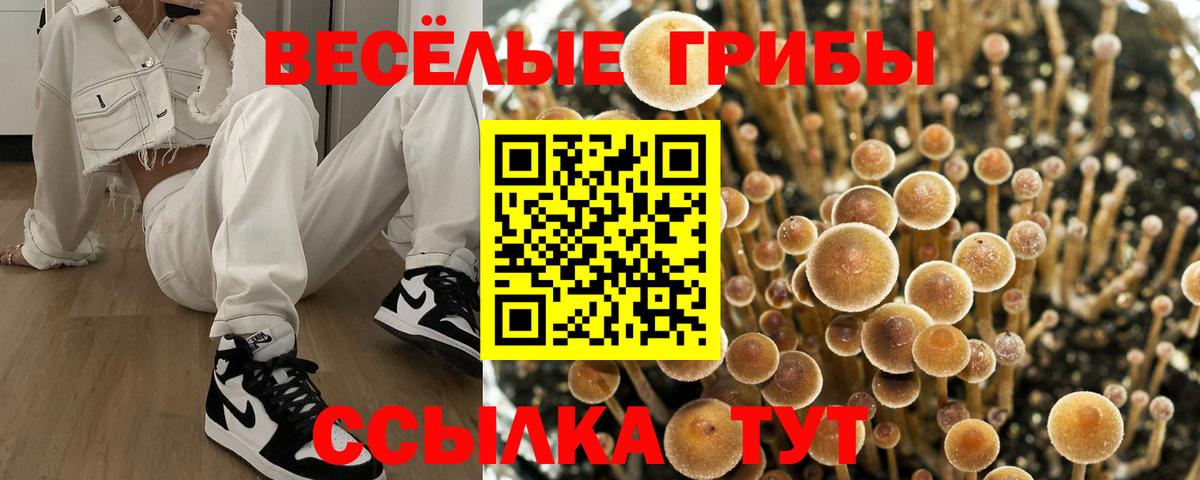 Галлюциногенные грибы мухоморы  Вход с VPN  Новотроицк 