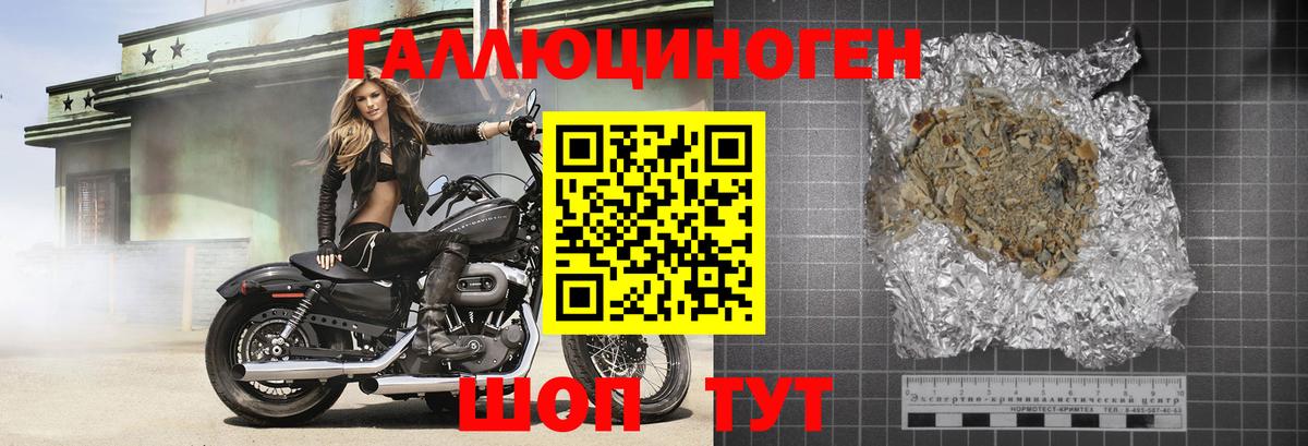 Галлюциногенные грибы Psilocybe Новотроицк